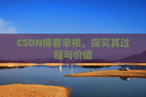 CSDN博客审核,探究其过程与价值